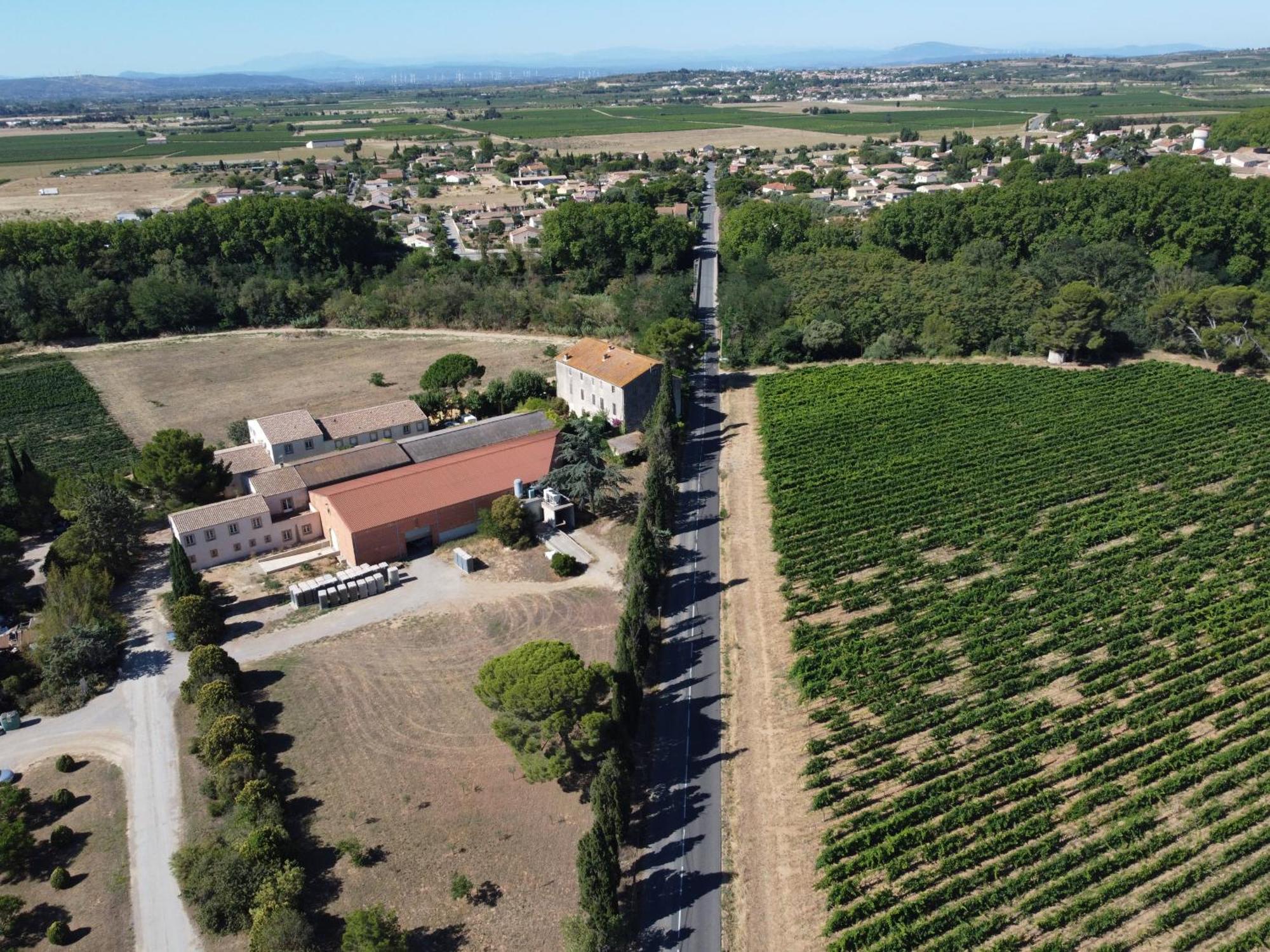 Domaine De L'Herbe Sainte Mirepeisset Экстерьер фото