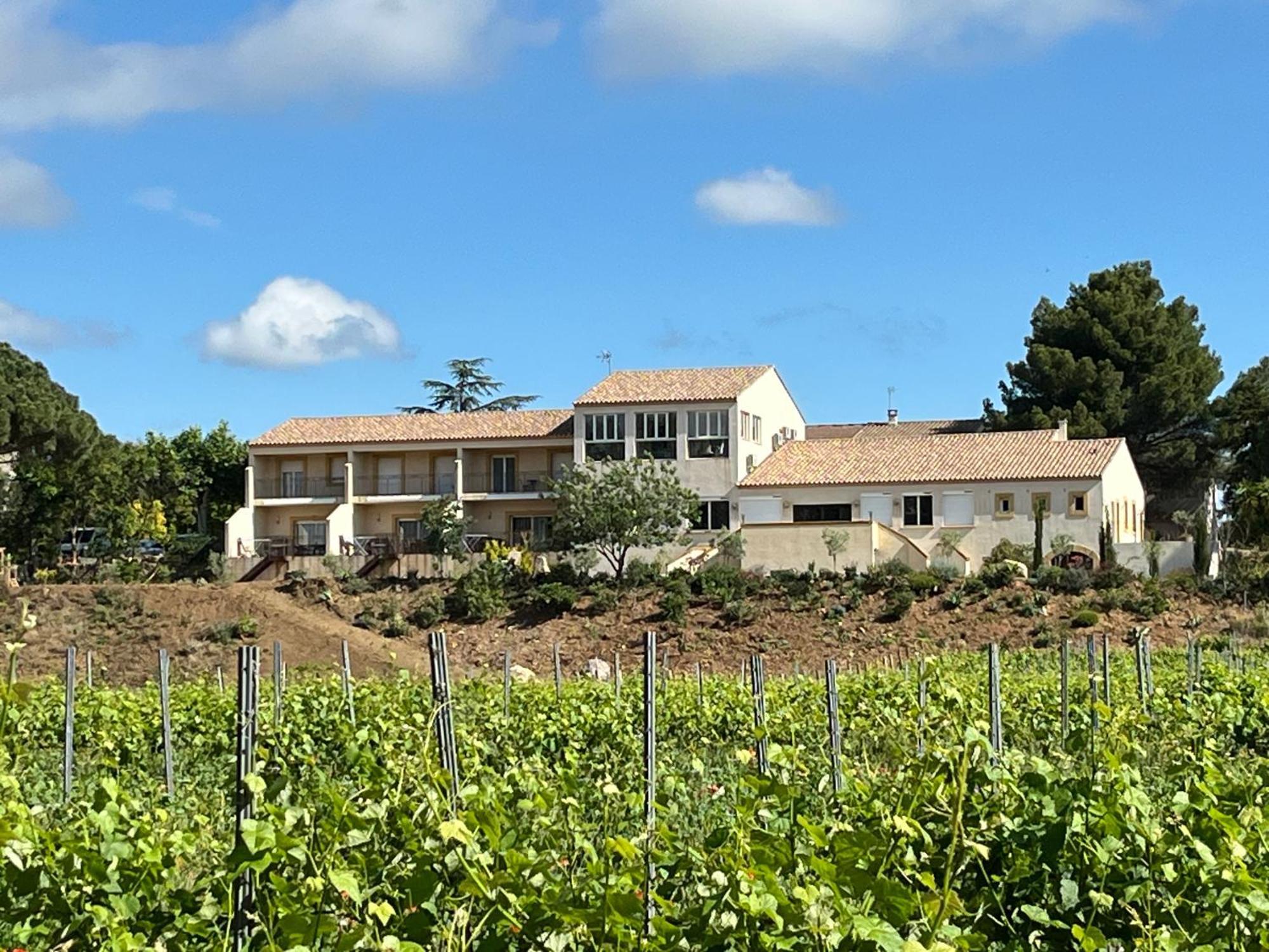 Domaine De L'Herbe Sainte Mirepeisset Экстерьер фото